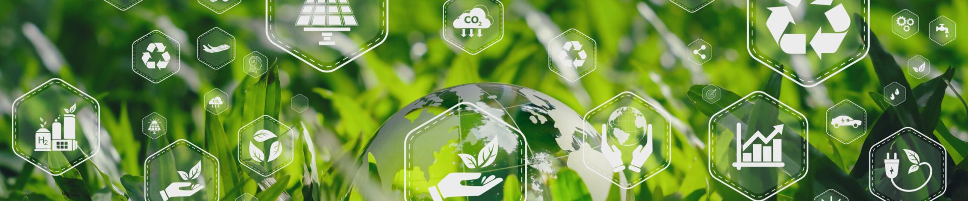 Illustration for environmental concept, business or green investment. crystal globe with icon on green background use for advertisement or web banner or whatever Leave a space to enter text.