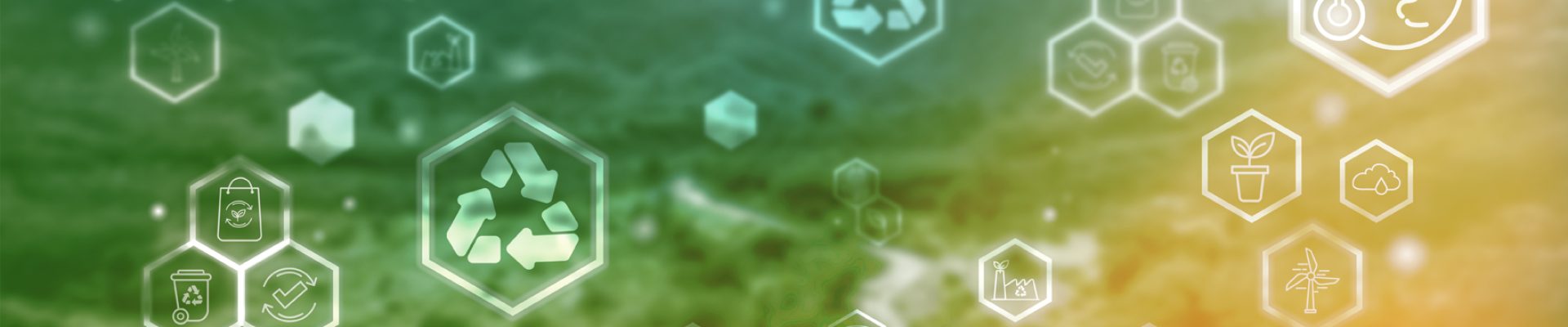 Abstract icon representing the sustainable development on renewable energy and growing ecological on green energy concept, Earth Day, Ecology and Environment concept, Earth Day, Forest conservation concept, The background is a forest area.